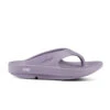'OOFOS' Women's OOriginal Thong - Mauve -fashion shoes 1000MAUVE shot1 1024x1024@2x